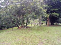 Sítio para Venda em São José dos Campos - 4