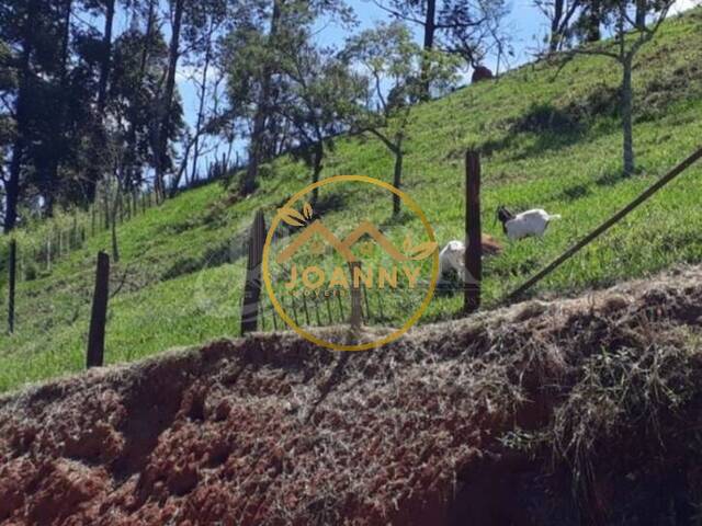 #CH00169 - Chácara para Venda em Monteiro Lobato - SP - 3