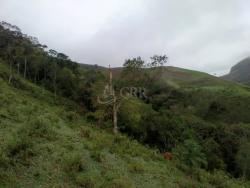 #ST00026 - Sítio para Venda em São José dos Campos - SP - 1