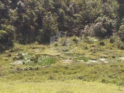 Fazenda para Venda em São José dos Campos - 4